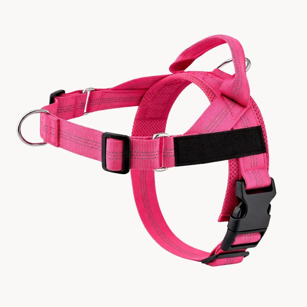 Harnais Anti-Tirage PullBreak — Clip Frontal Sans Étranglement