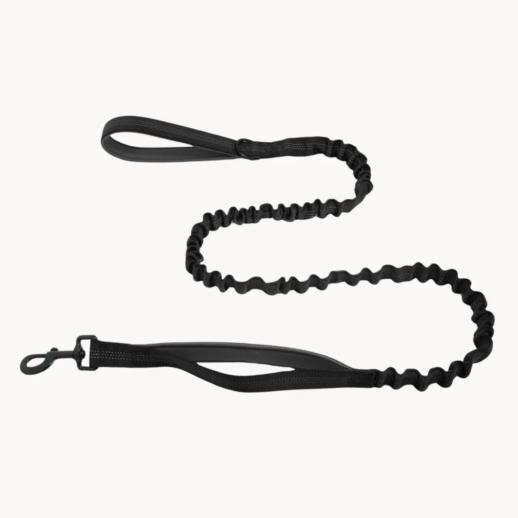 🎁 Laisse élastique PULLBREAK OFFERTE