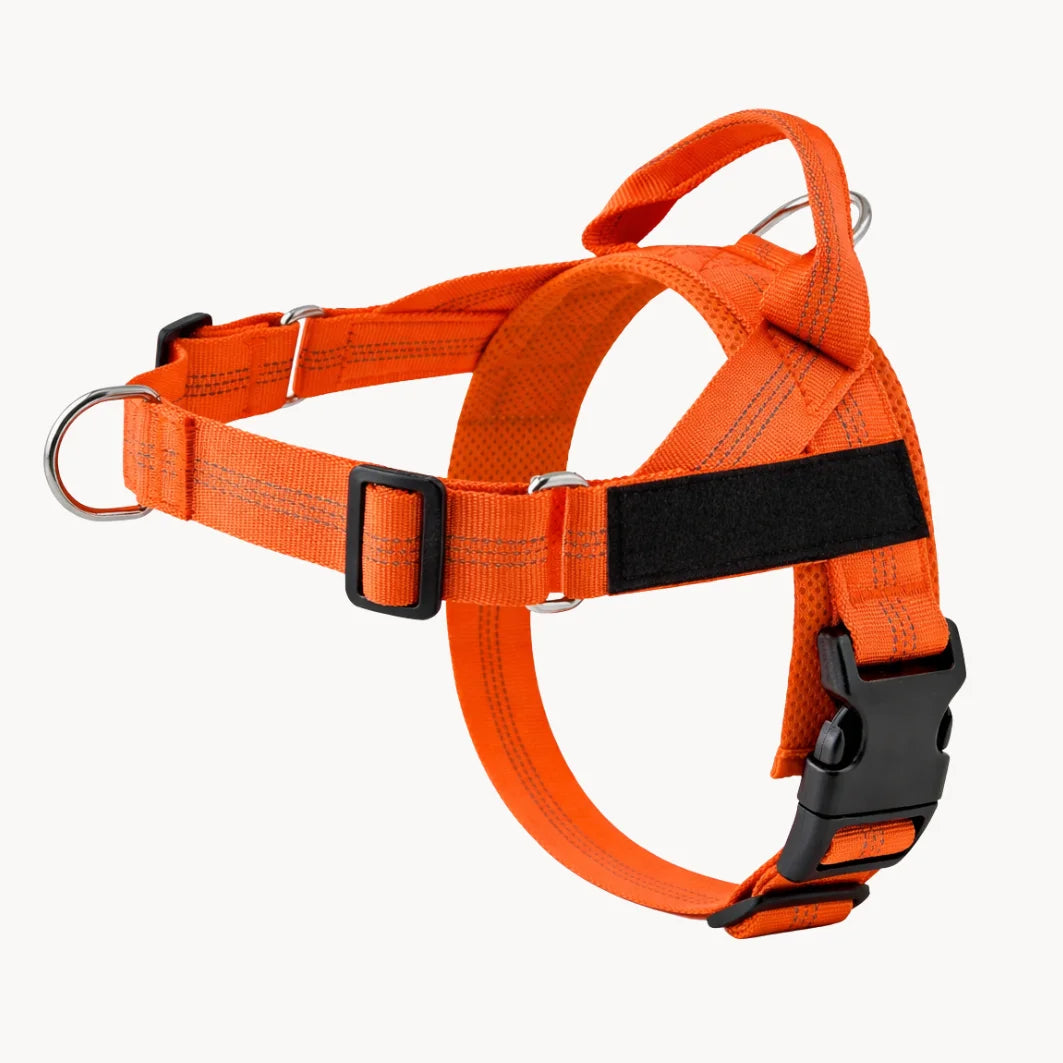 Harnais Anti-Tirage PullBreak — Clip Frontal Sans Étranglement