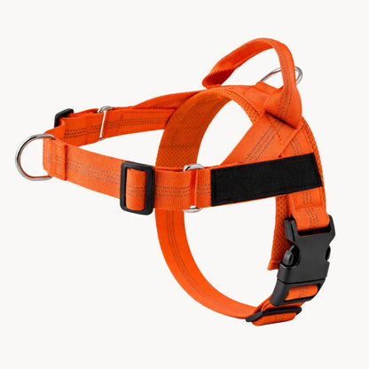 Harnais Anti-Tirage PullBreak — Clip Frontal Sans Étranglement