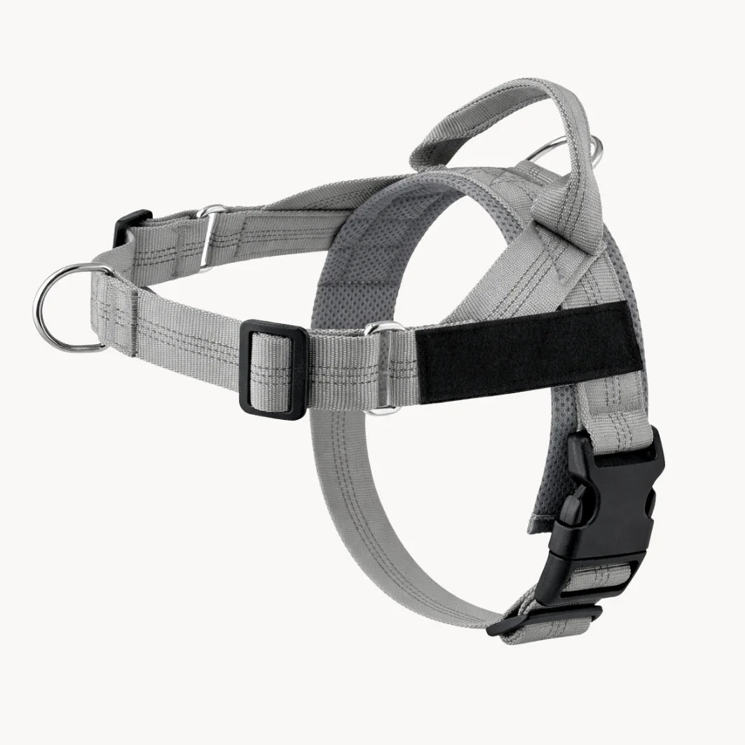 Harnais Anti-Tirage PullBreak — Clip Frontal Sans Étranglement