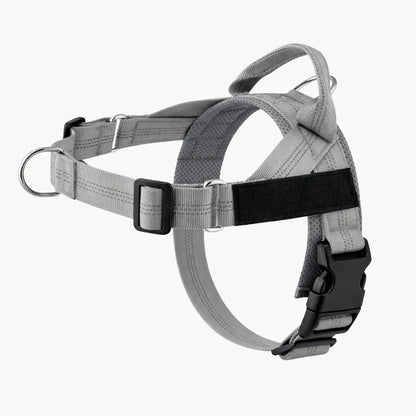 Harnais Anti-Tirage PullBreak — Clip Frontal Sans Étranglement
