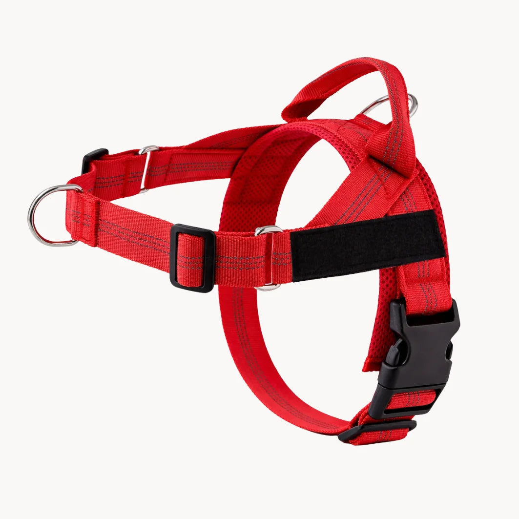 Harnais Anti-Tirage PullBreak — Clip Frontal Sans Étranglement
