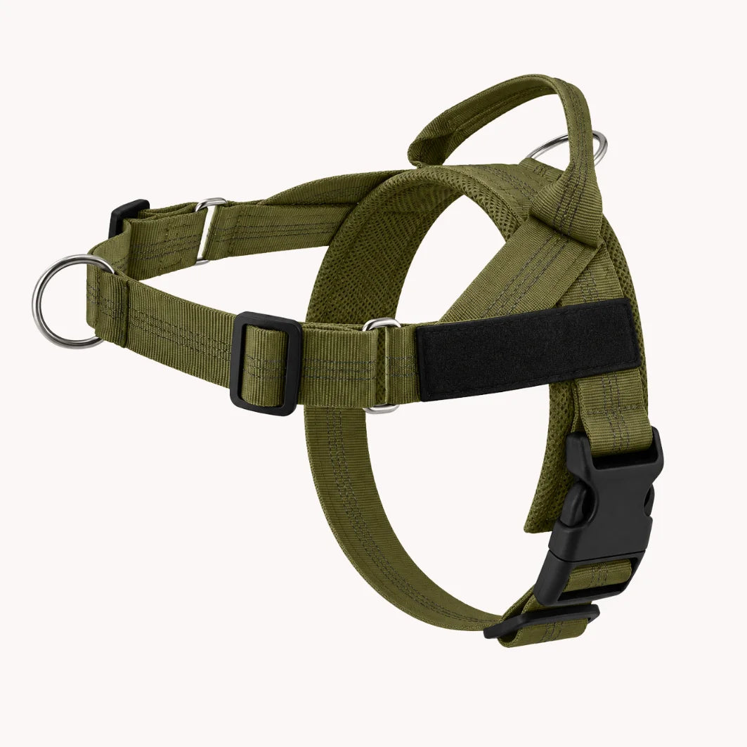 Harnais Anti-Tirage PullBreak — Clip Frontal Sans Étranglement