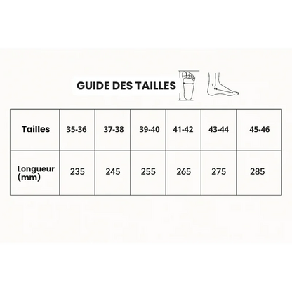 OrthoCloud 4 D