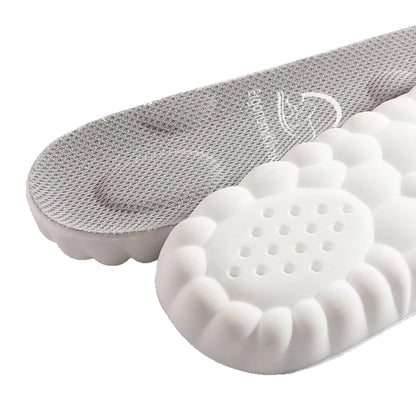 OrthoCloud 4 D
