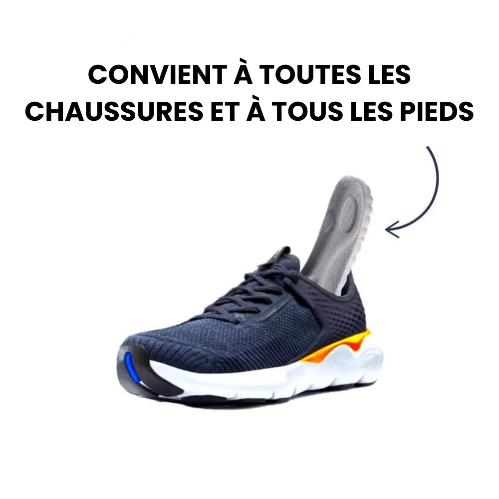 OrthoCloud 4 D