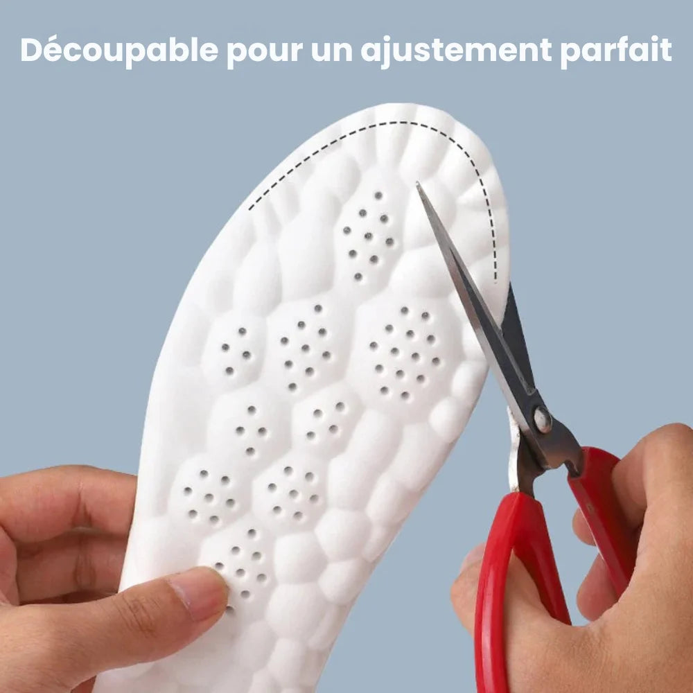 OrthoCloud 4 D