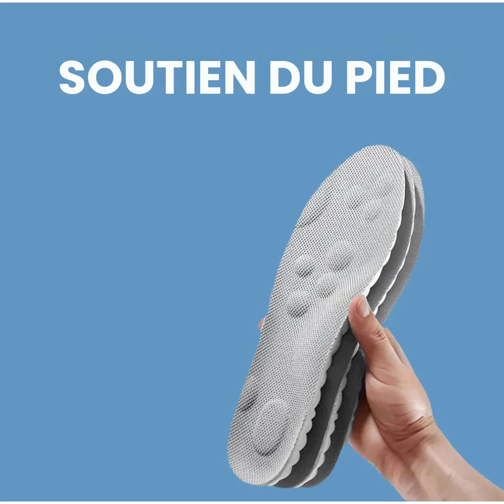 OrthoCloud 4 D