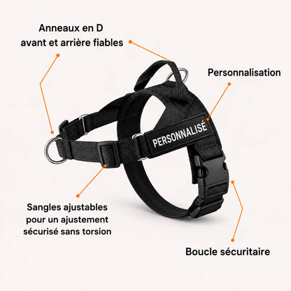 Harnais Anti-Tirage PullBreak — Clip Frontal Sans Étranglement