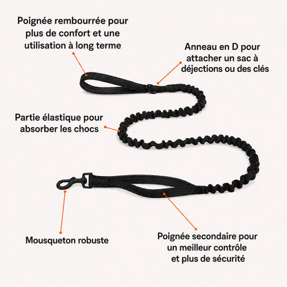 Harnais Anti-Tirage PullBreak — Clip Frontal Sans Étranglement