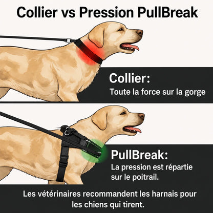 Harnais Anti-Tirage PullBreak — Clip Frontal Sans Étranglement