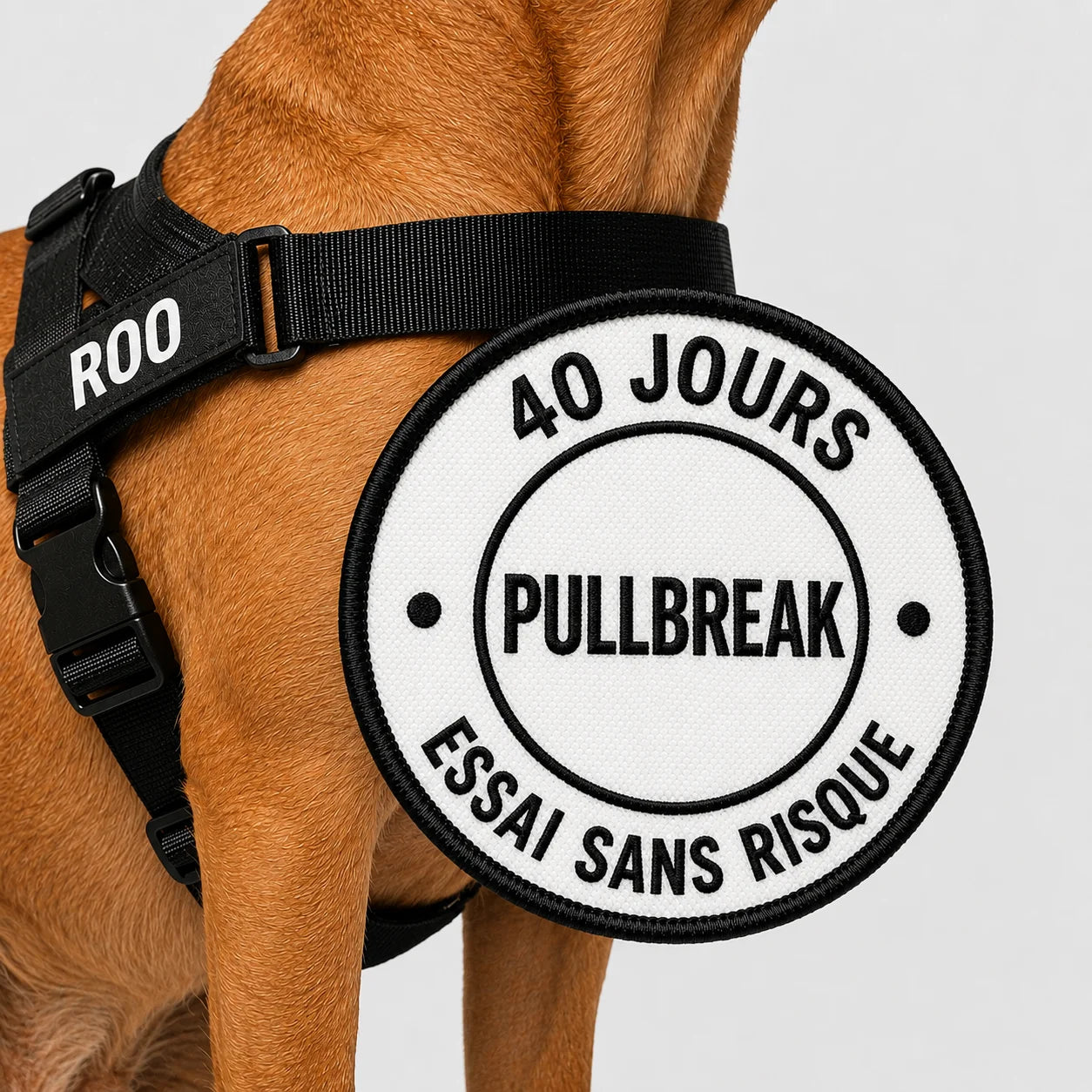 Harnais Anti-Tirage PullBreak — Clip Frontal Sans Étranglement