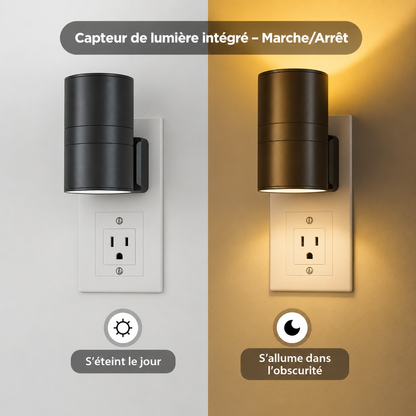 Capteur de lumière intégré