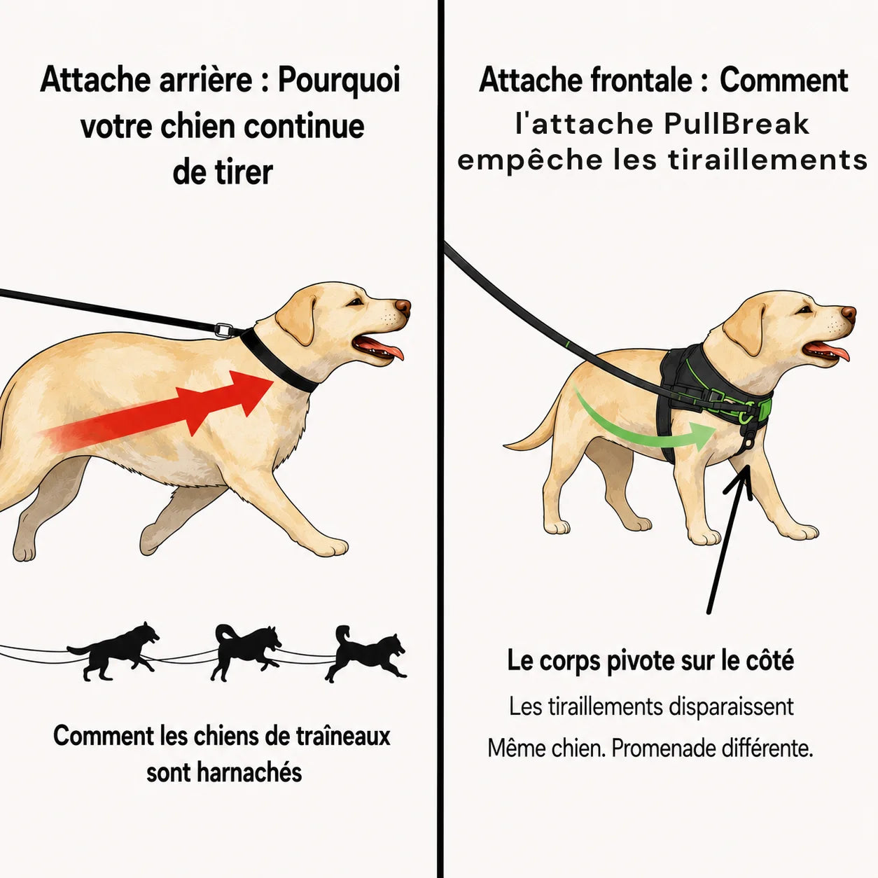Harnais Anti-Tirage PullBreak — Clip Frontal Sans Étranglement